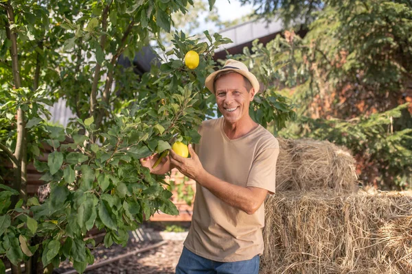 Hasır şapkalı gülümseyen adam limonlarla hokkabazlık yapıyor. — Stok fotoğraf