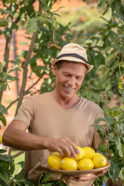 Hasır şapkalı mutlu erkek limon topluyor, tabağa koyuyor. — Stok fotoğraf