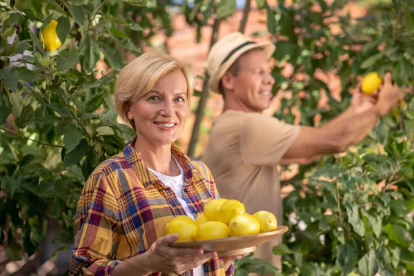 Sarışın kadın elinde limonlu tabak, erkek ağaçtan meyve topluyor. — Stok fotoğraf