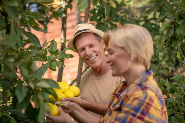 Pareja sonriente recogiendo limones en el jardín — Foto de Stock