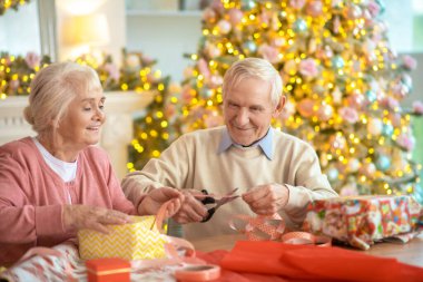 Yaşlı çift Noel hediyeleri hazırlıyor ve kendilerini mutlu hissediyorlar.