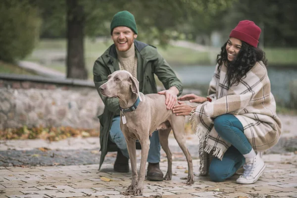 Sorrindo casal acariciando um cão enquanto caminhava — Fotografia de Stock