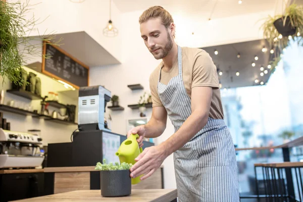 Junger erwachsener Mann gießt Pflanze in Café — Stockfoto