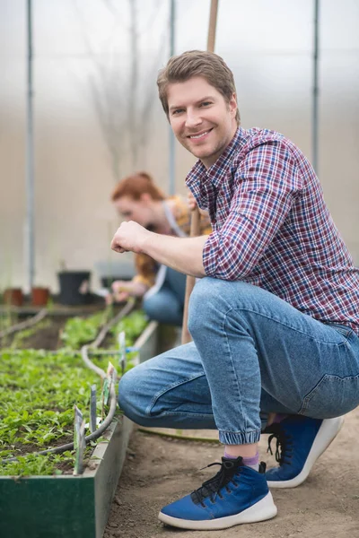 Vreugdevolle man hurkt in de buurt van tuinbed in kas — Stockfoto