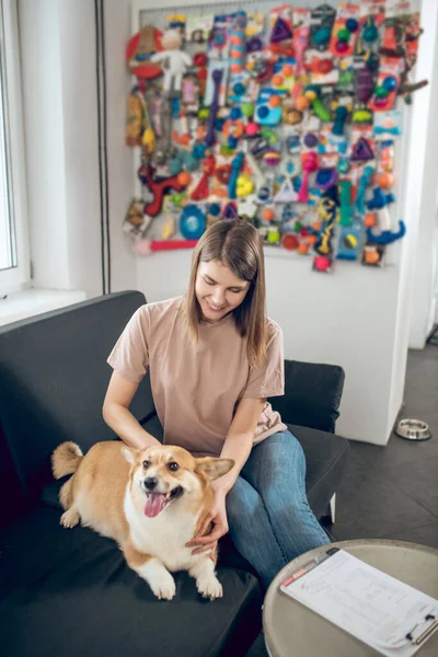 Propietaria de mascotas sentada en un sofá con su perro —  Fotos de Stock