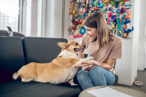 Propietaria de mascotas sentada en un sofá con su perro —  Fotos de Stock