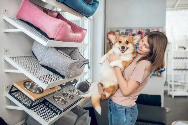 Propietario de mascotas eligiendo una cama para mascotas en una tienda de mascotas —  Fotos de Stock