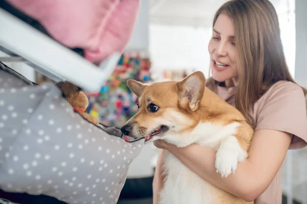 A smiling girl choosing animal accessories in a pet shop — Stock Photo, Image