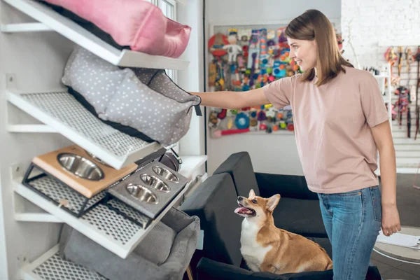 Una chica sonriente eligiendo accesorios de animales en una tienda de mascotas —  Fotos de Stock