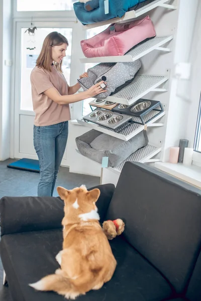 Meisje in een beige tshirt kiezen van een huisdier bed voor haar hond — Stockfoto