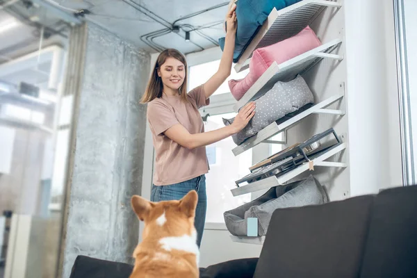 Девушка в бежевой футболке выбирает койку для собаки — стоковое фото