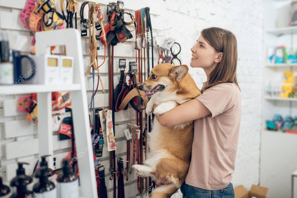Dark-haired girl and her corgi choosing toys in a pet shop