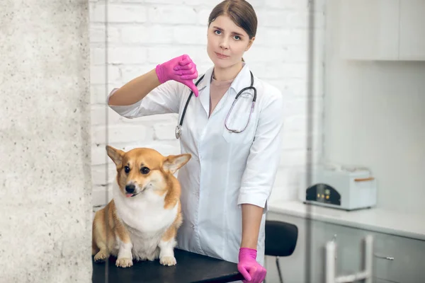Νεαρή γυναίκα κτηνίατρος με ένα χαριτωμένο κόργκι στην κλινική — Φωτογραφία Αρχείου