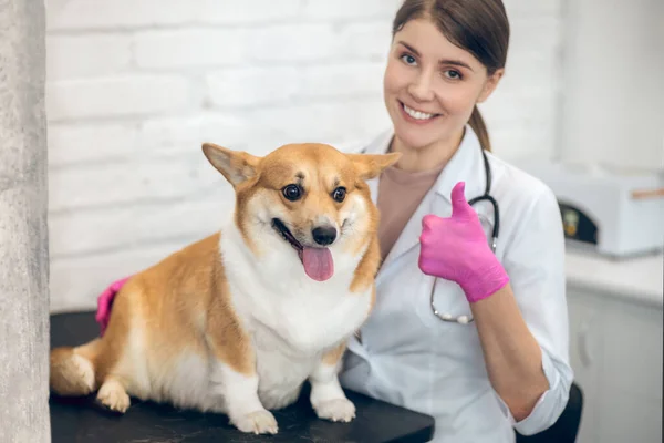 Médico veterinario sonriente con un lindo perro en una clínica — Foto de Stock