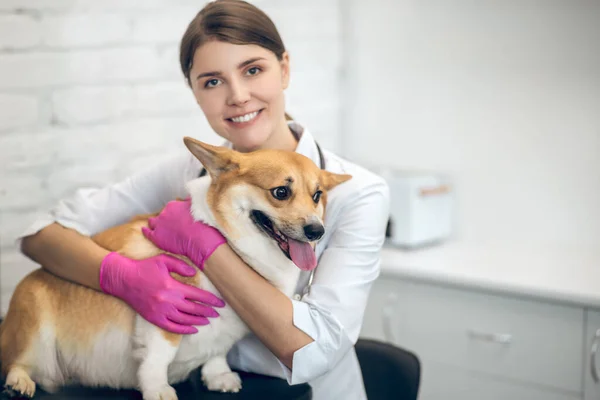 Mosolygó női állatorvos egy aranyos kutya egy klinikán — Stock Fotó