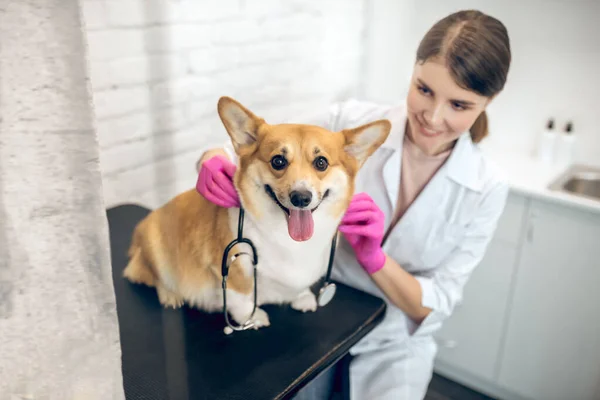 Mignon médecin vétérinaire souriant avec un chien mignon dans une clinique — Photo