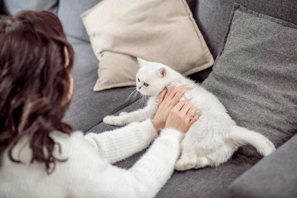 Junge dunkelhaarige Frau verbringt Zeit mit ihrer weißen süßen Katze zu Hause — Stockfoto