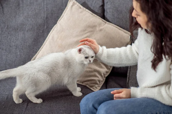 Langhaarige junge Frau streichelt ihre süße weiße Katze — Stockfoto