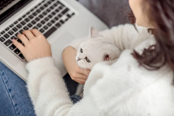 Темноволоса жінка працює на ноутбуці і обіймає свого кота — стокове фото
