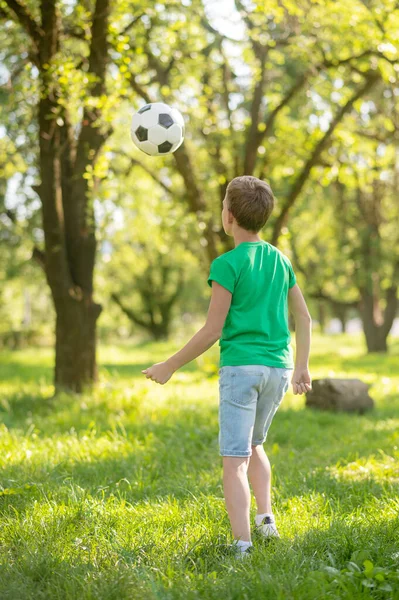 Niño jugando pelota de fútbol con la espalda a la cámara —  Fotos de Stock