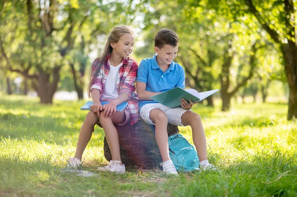 Веселые мальчик и девочка сидят на пне в парке — стоковое фото
