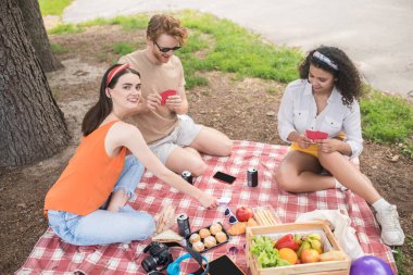 Young people having rest on picnic