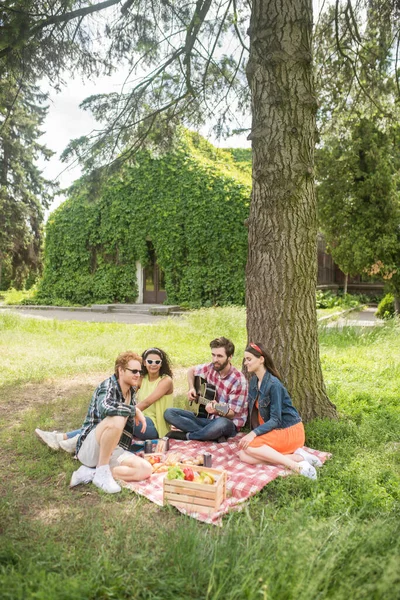 Group of young people on picnic in park — Stock Fotó