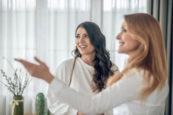 Mujer joven hablando con un agente de bienes raíces sobre alquilar un apartamento —  Fotos de Stock