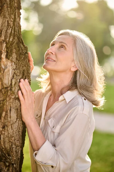 Mujer tocando el árbol con sus palmas mirando hacia arriba — Foto de Stock