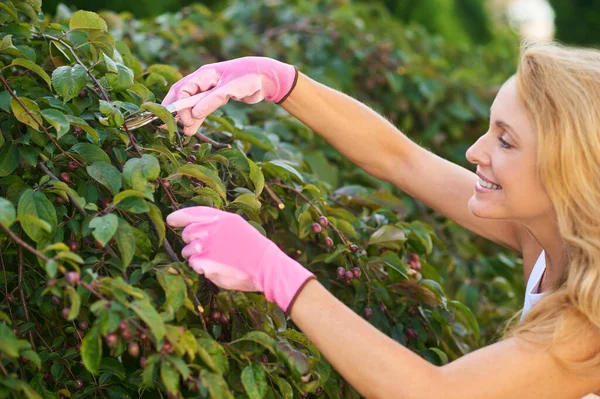 Glimlachende geïnspireerde vrouw snoeien boomtakken — Stockfoto