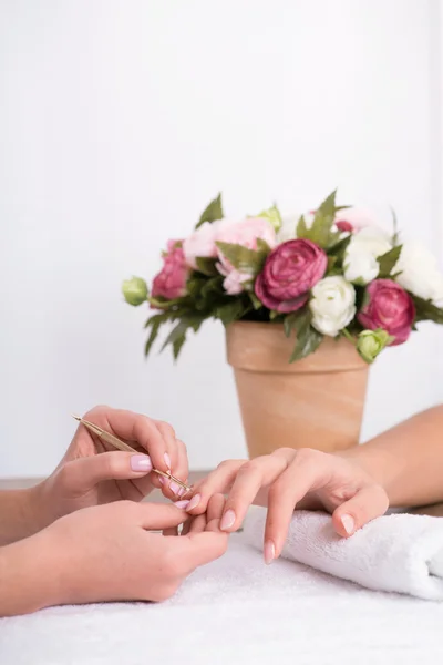 Cliente y manicura en salón de manicura —  Fotos de Stock