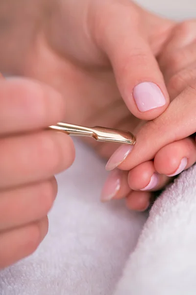 Client and manicurist in manicure salon — Stock Photo, Image