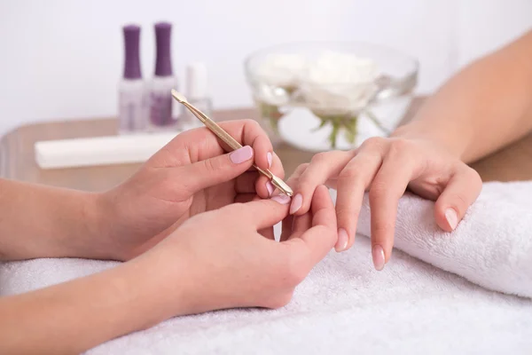 Client and manicurist in manicure salon — Stock Photo, Image