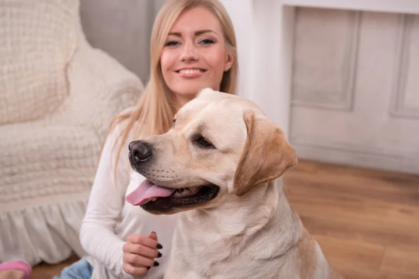 Bella ragazza bionda con Labrador Retriever — Foto Stock