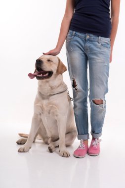 Labrador geri almak güzel sarışın kız