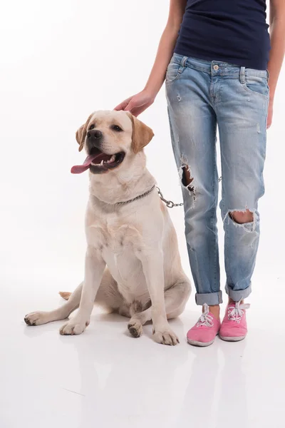 Menina loira bonita com Labrador Retriever — Fotografia de Stock