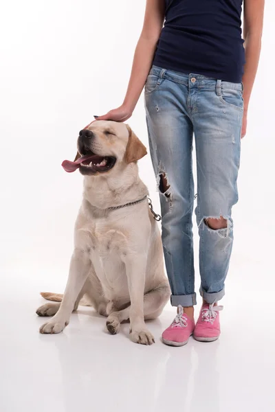 Bella ragazza bionda con Labrador Retriever — Foto Stock