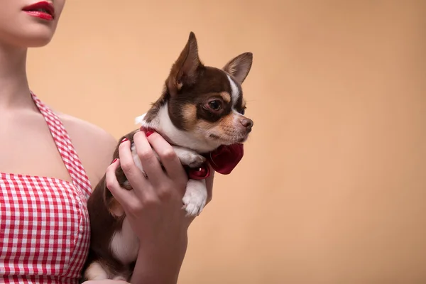 Dość brunetka dziewczynka w stylu retro — Zdjęcie stockowe