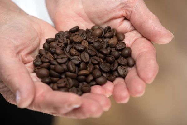 Elderly woman holding coffee beans — Stock Photo, Image