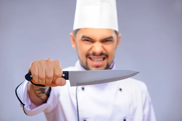 Portrait of young handsome cook — Stock Photo, Image