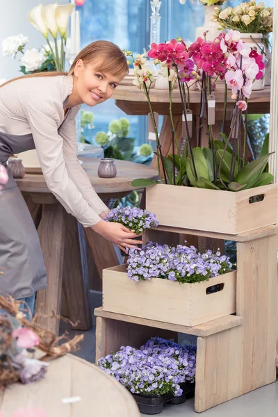 Florist an den Blumentöpfen — Stockfoto