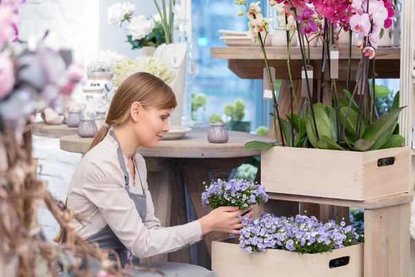 Bloemist onderzoekt bloemen — Stockfoto