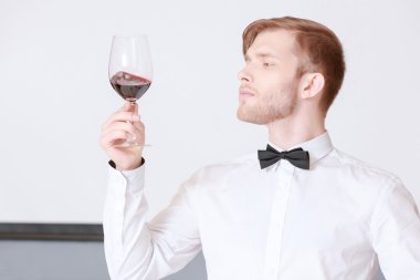 Sommelier Şarap kırmızı test