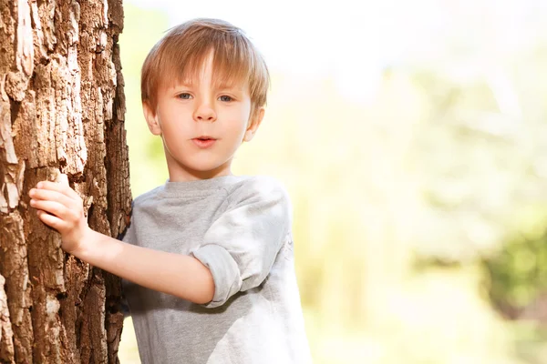 Petit garçon émergeant de derrière l'arbre — Photo