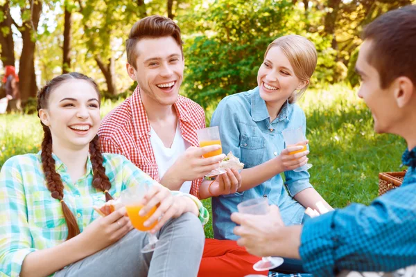 Młodzi ludzie jedzenie i picie podczas pikniku — Zdjęcie stockowe