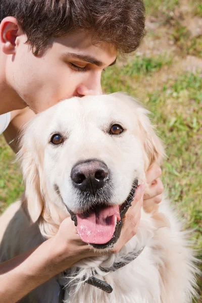 Golden Retriever parkta — Stok fotoğraf