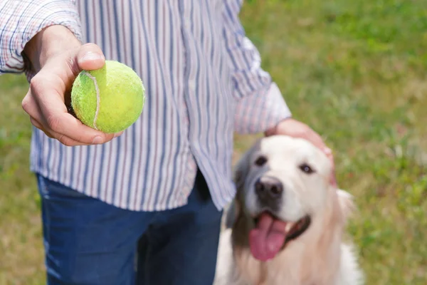 Golden retriever and his owner — Φωτογραφία Αρχείου