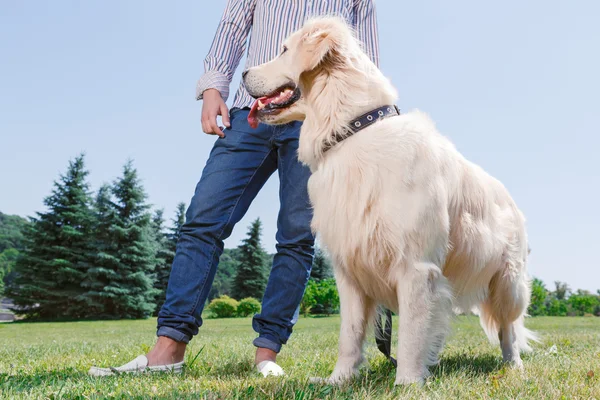Мужчина со своей собакой в парке — стоковое фото