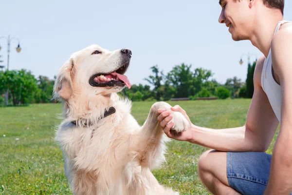 Having fun with a dog — Φωτογραφία Αρχείου