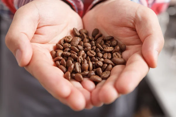 Close-up of person holding coffee beans — Stock Photo, Image